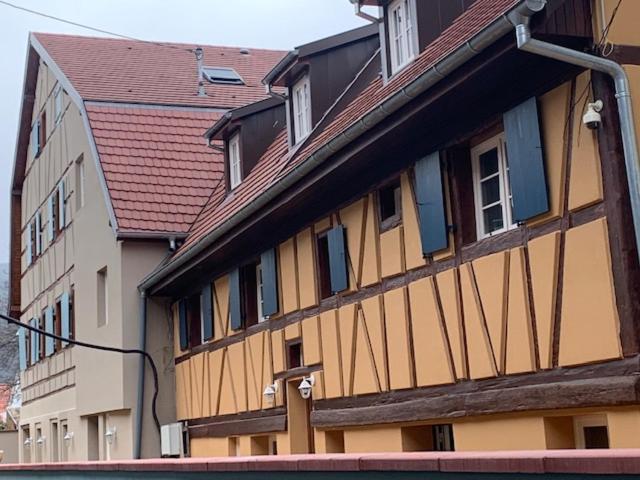 Coeur D'Alsace Colmar Vignobles Ouest Avec Terrasses Villa Wintzenheim Exterior photo