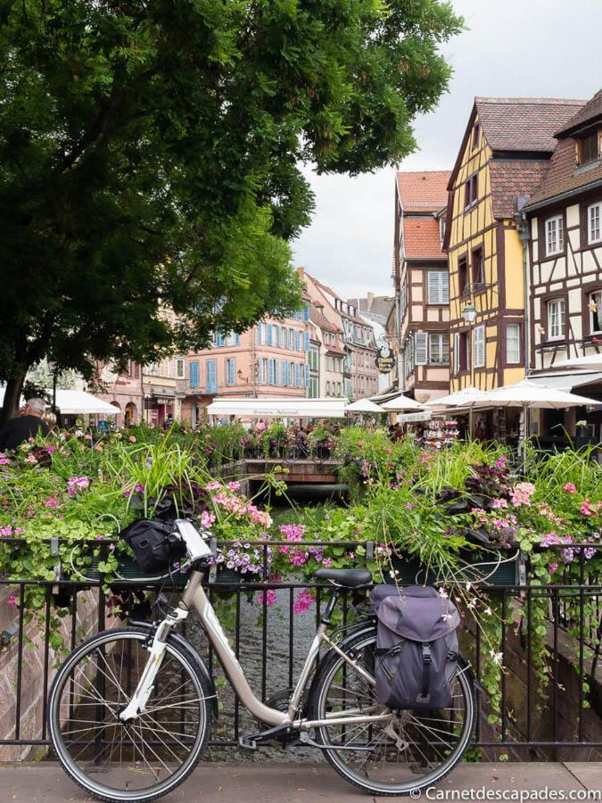 Coeur D'Alsace Colmar Vignobles Ouest Avec Terrasses Villa Wintzenheim Exterior photo