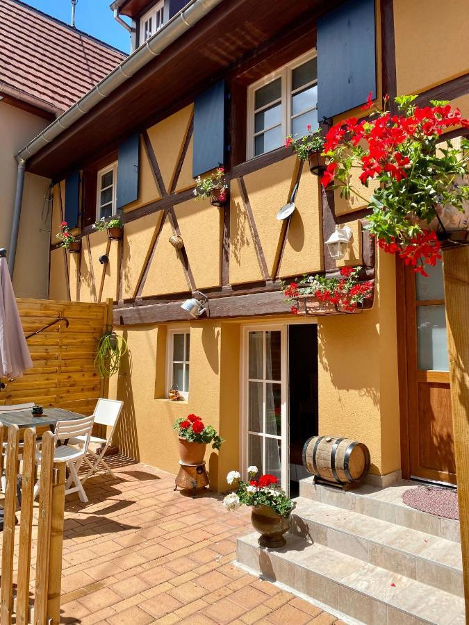 Coeur D'Alsace Colmar Vignobles Ouest Avec Terrasses Villa Wintzenheim Exterior photo
