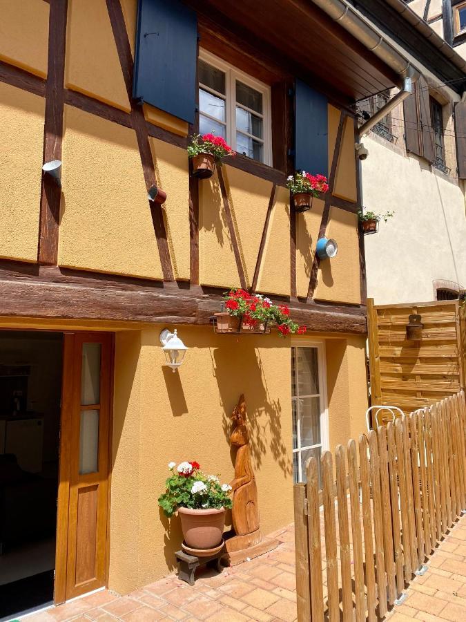 Coeur D'Alsace Colmar Vignobles Ouest Avec Terrasses Villa Wintzenheim Exterior photo